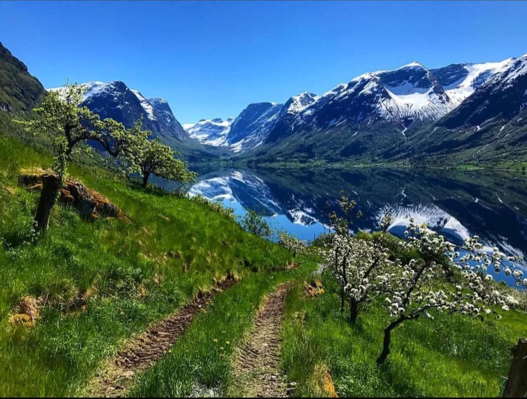 Flotun Apartman Stryn Kültér fotó